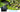 Maximizing Your Garden with Briidea's Smart Gadgets: A Complete Guide