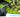Maximizing Your Garden with Briidea's Smart Gadgets: A Complete Guide