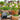 Vacation Watering System for Plants, Briidea Solar Drip Irrig Ation System with A 30 FT (9.14 Meter) Hose, While Also Caring for 15 Plants, Suitable for Both Indoor and Outdoor Use - briidea