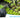 Maximizing Your Garden with Briidea's Smart Gadgets: A Complete Guide