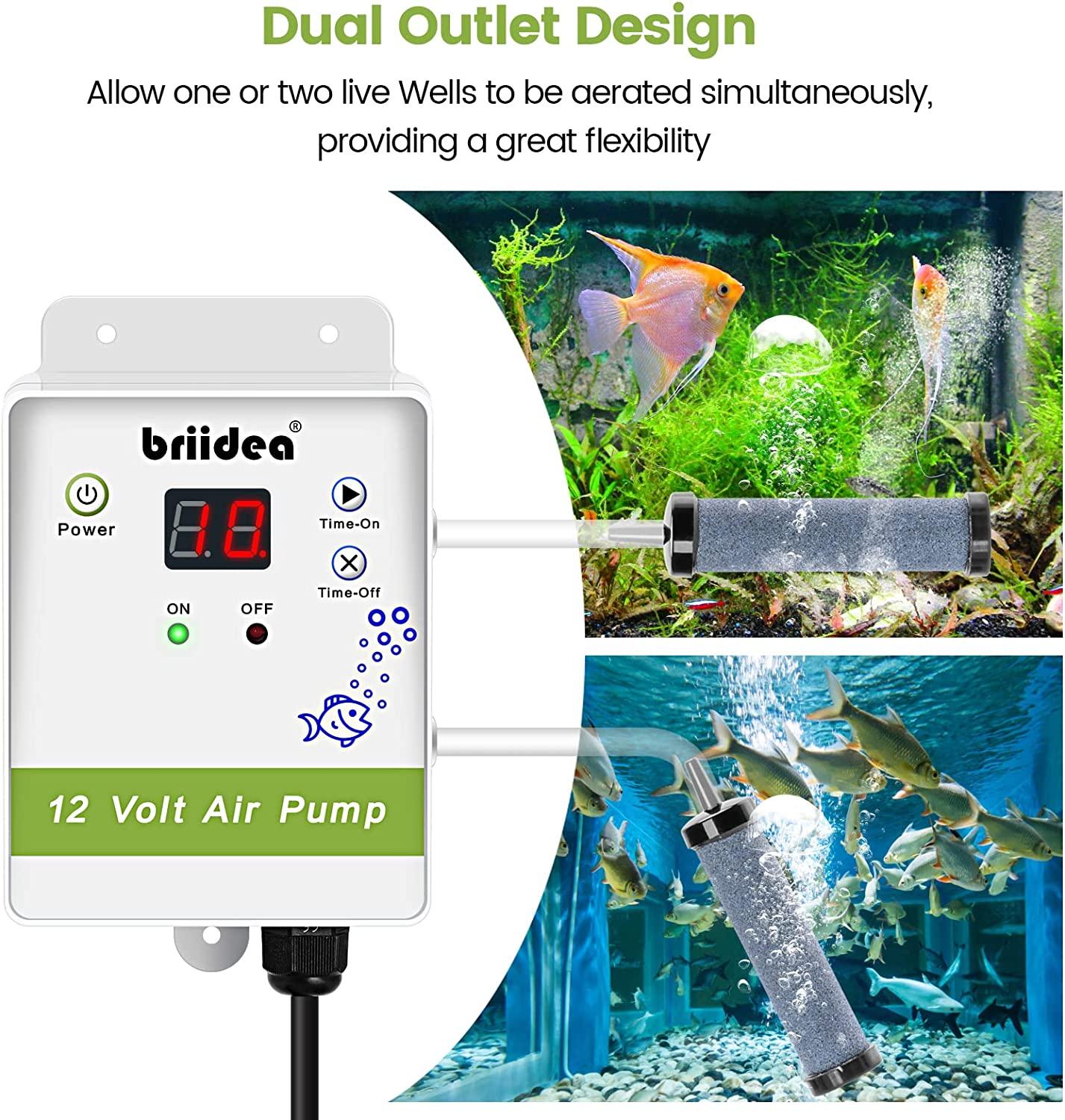 Aerator for Bait Bucket, Briidea 12 Volt Livewell Aerator Pump System with Timing Cycle Function, Dual Outlet, Designed for Use in Fresh and Salt Water, Keep Your Bait Fish Alive