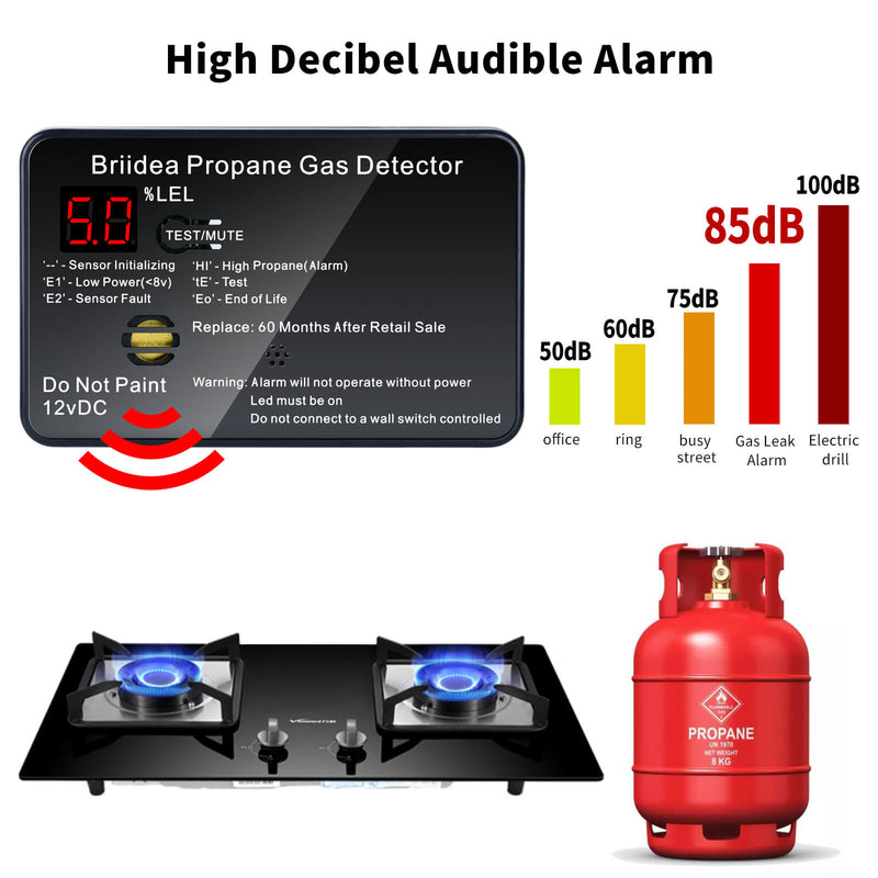 Briidea RV Propane Alarm, Propane Gas Detector with 85dB Loud Alarm, 12 VDC