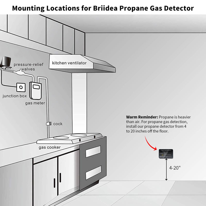 VITITE RV Propane Gas Detector, Digital RV Propane/LPG Gas Alarm, DC 12V -  Designed for Motorhome Travel. 85dB Alarm; (Surface ＆ Flush Mount- White  R501) 