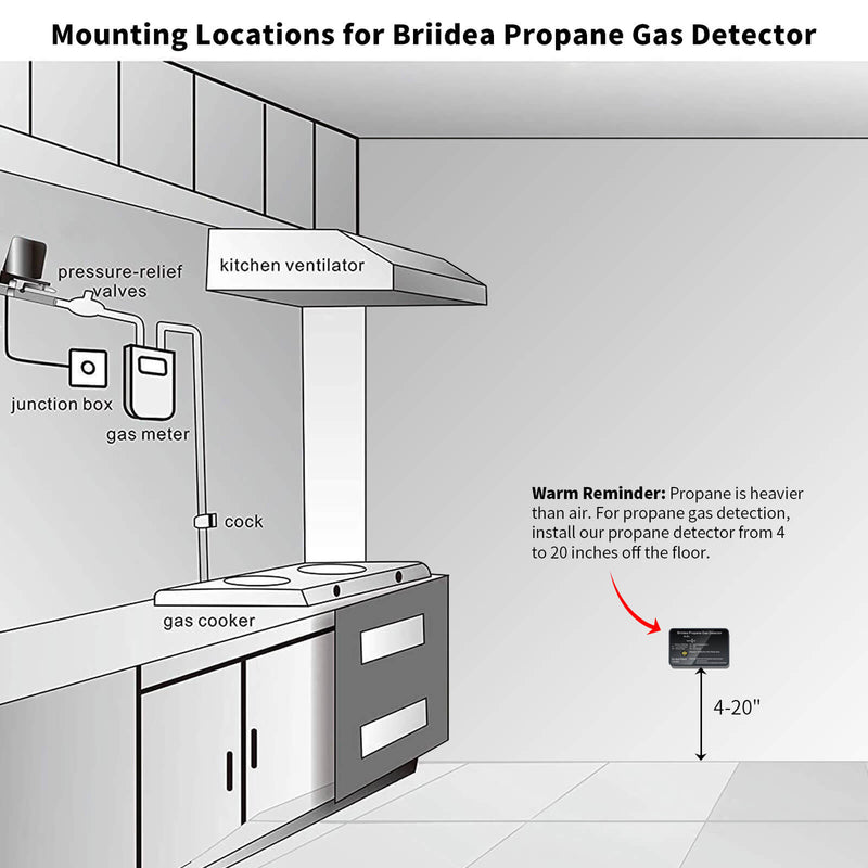 Briidea RV Propane Alarm, Propane Gas Detector with 85dB Loud Alarm, 12 VDC