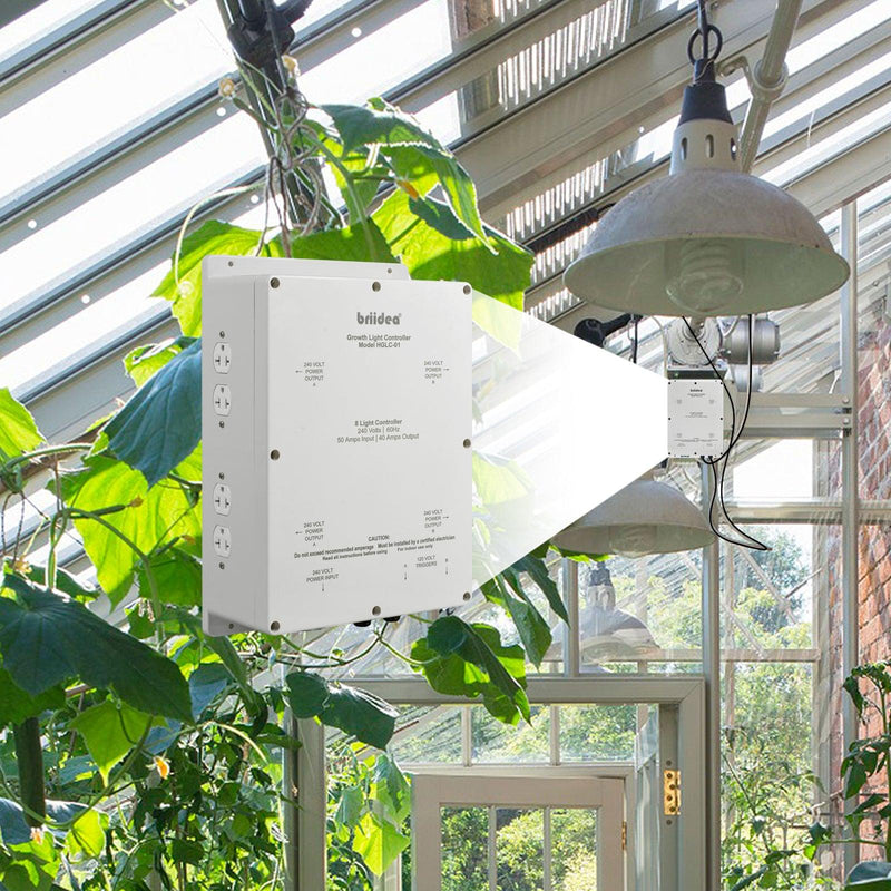 8-Light Controller, Briidea Lighting Relay Ballast Grow Light Controller 8000W 240V with Dual Trigger Cords