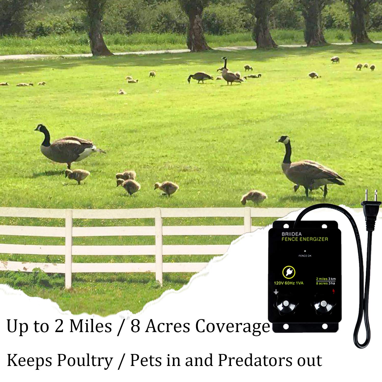 Briidea 2-Mile Electric Fence Energizer for Preventing Wild Animals Intruding 8 Acres Output Voltage 5000 V 0.1Joule