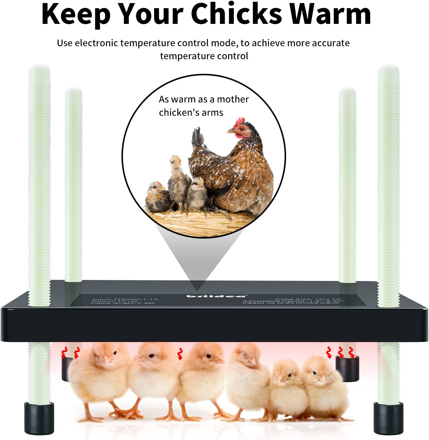Chicks Heating Plate, Briidea 12'' *12'' Chick Brooders with Adjustable Height, Keeps Up to 20 Chicks Warm, 48W, Black